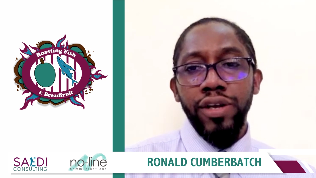 Presentation by Ronald Cumberbatch - International Development Consultant - Guyana